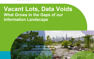 Vacant Lots, Data Voids